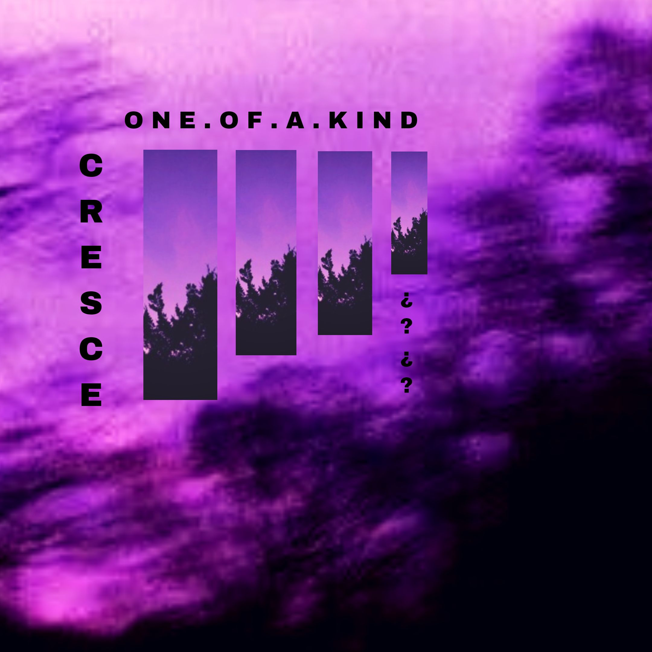 one of a kind