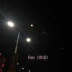 fate（命运）专辑