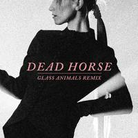 Dead Horse - Hayley Williams (VS Instrumental) 无和声伴奏