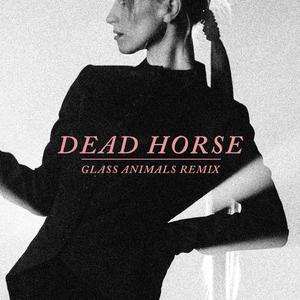 Dead Horse - Hayley Williams (VS karaoke) 带和声伴奏