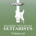 Backing Tracks For Guitarists, Vol. 30专辑