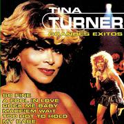 Tina Turner Greatest Hits专辑