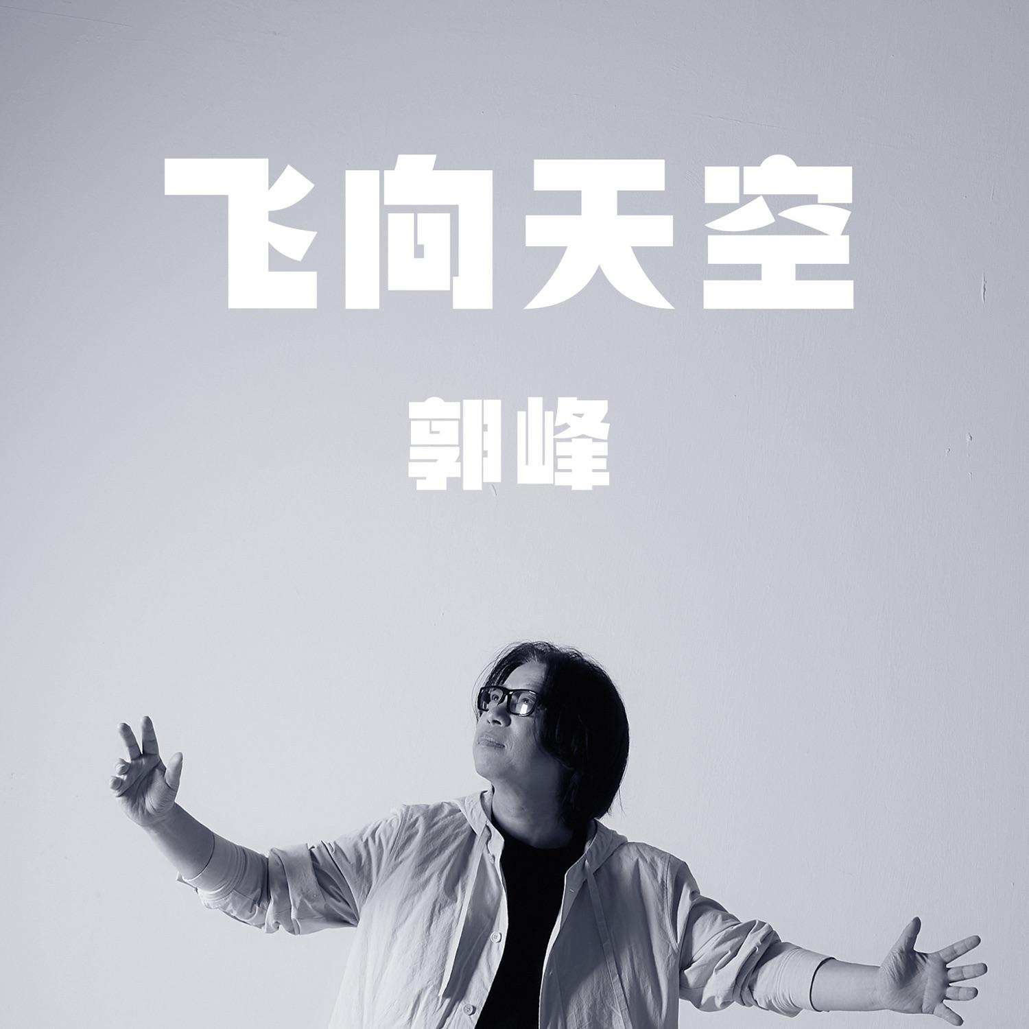 飞向天空