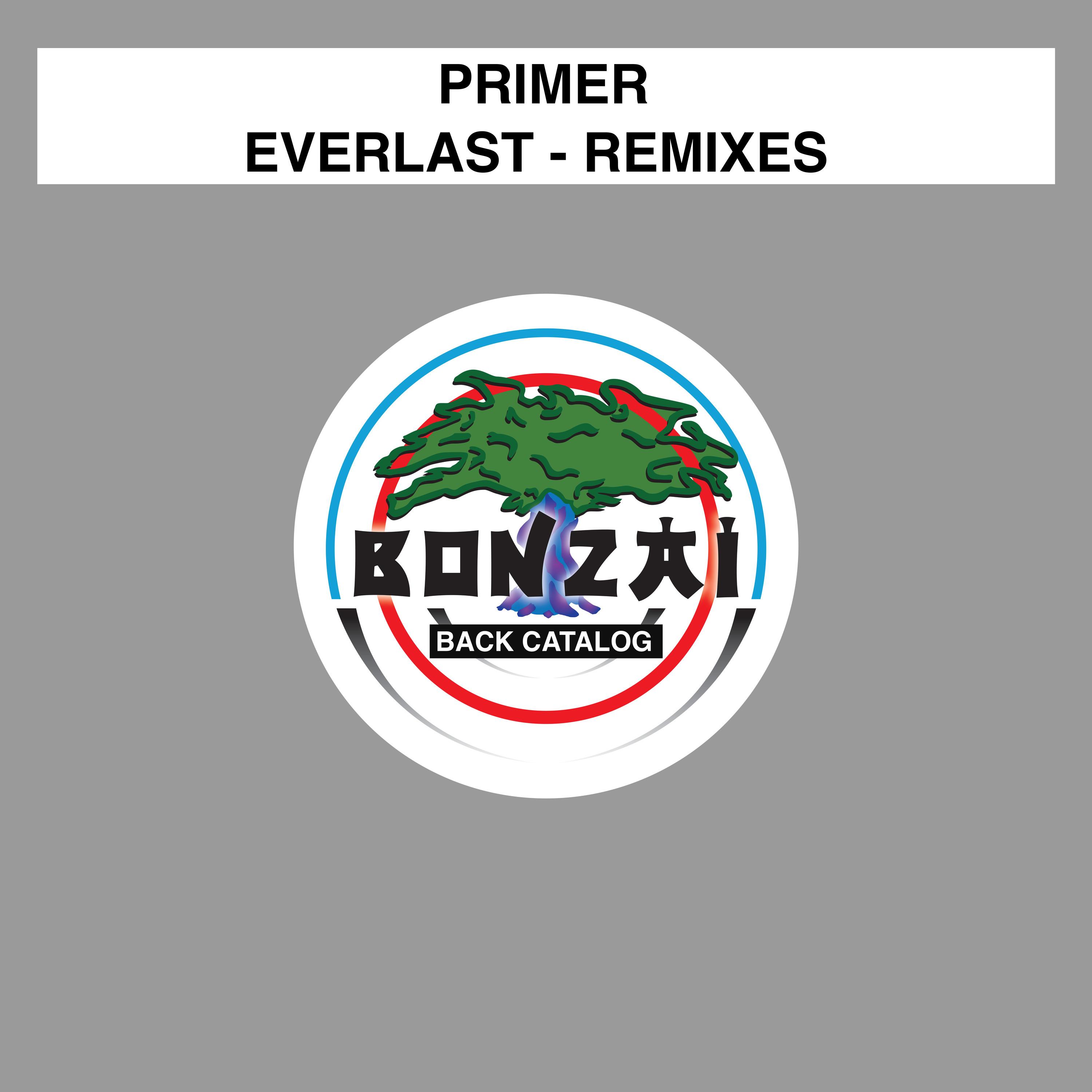 Everlast - Remixes
