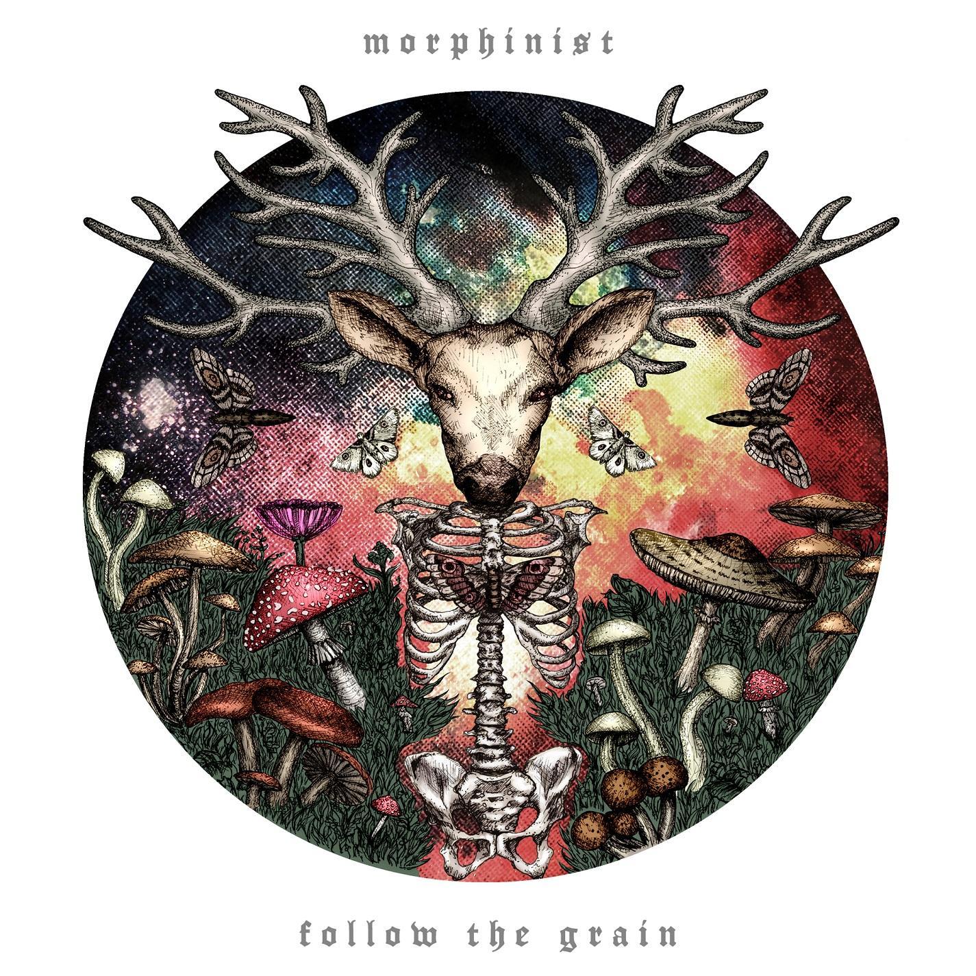 Follow the Grain