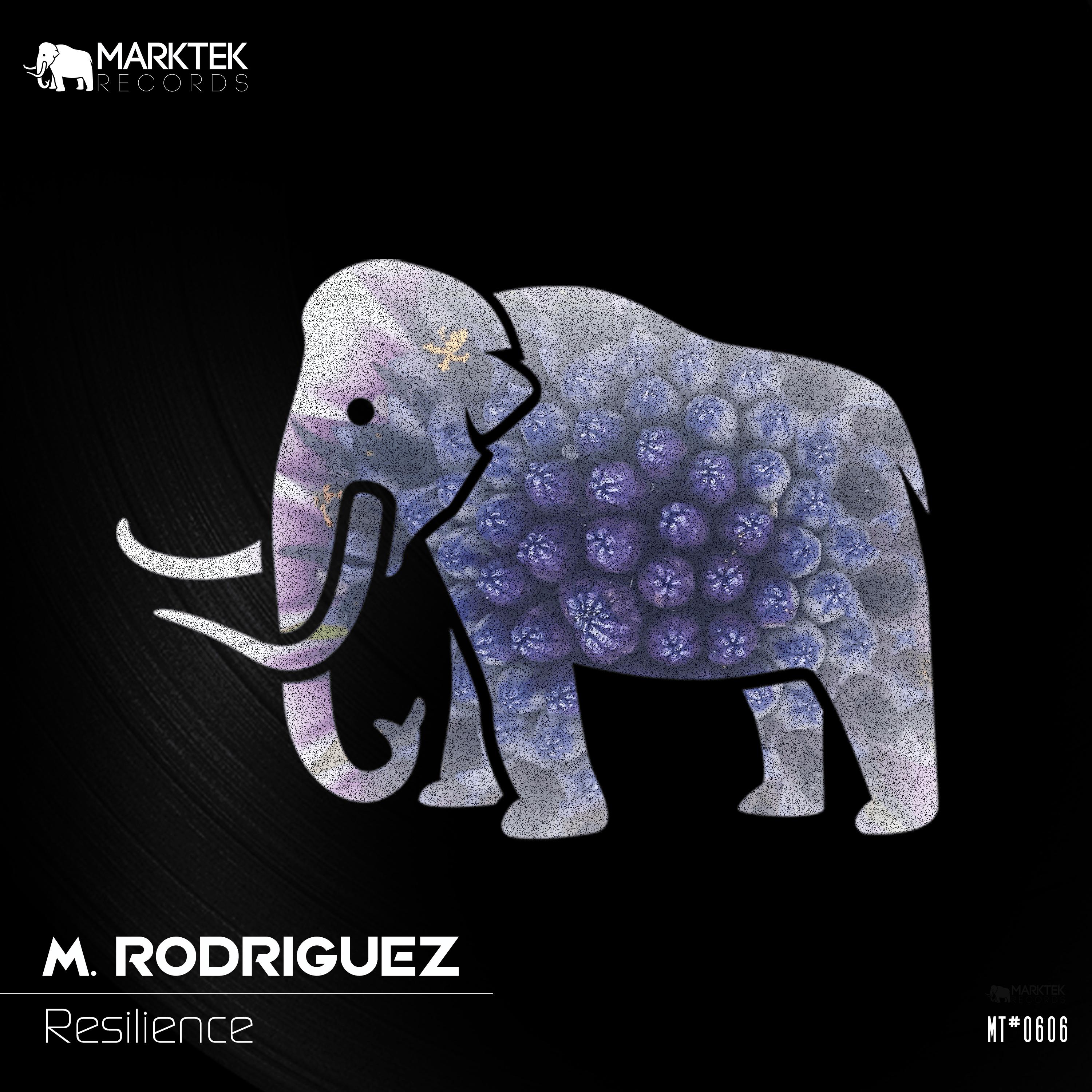 M. Rodriguez - Resilience