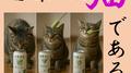 吾輩は猫である专辑