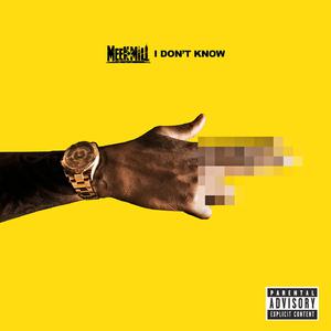 I Don't Know - Meek Mill feat. Paloma Ford (unofficial Instrumental) 无和声伴奏 （降2半音）