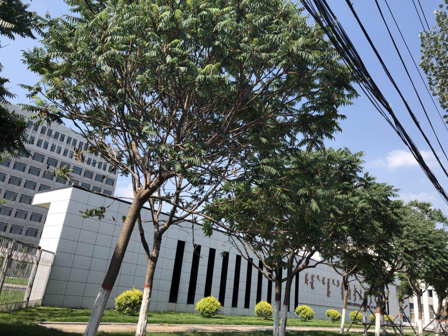 内蒙古工业大学