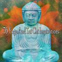 76 Yoga And Tai Chi Inspirations专辑