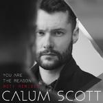 You Are The Reason (MOTi Remixes)专辑