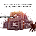 CATS, JETS AND BREAKS