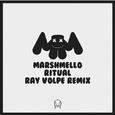 Ritual (Ray Volpe Remix)