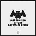 Ritual (Ray Volpe Remix)专辑