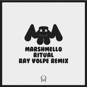 Ritual (Ray Volpe Remix)