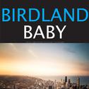 Birdland Baby专辑