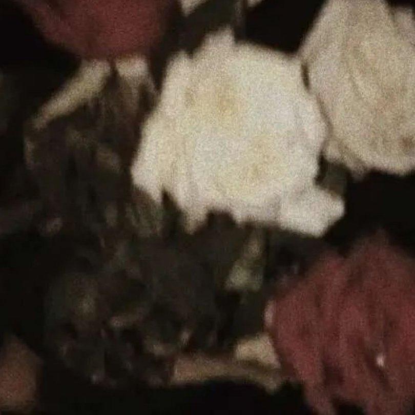 爱意东升西落.