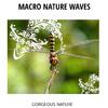 Drizzle Studio Nature Studio - Glorious Waves Distant Muffed Lullaby
