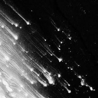 雲雀 叫了 一整天。