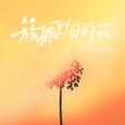 簇拥烈日的花