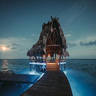 Future House|奇妙爽快的电子，迎接未来！