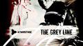 The Grey Line专辑