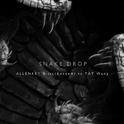 SNAKE DROP - ALLENKEY & itschosenAi/Tat Wang专辑