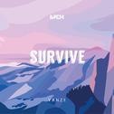 Survive (IvPem Remix)专辑