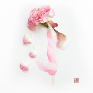 〖港乐〗一座城市，百家争鸣