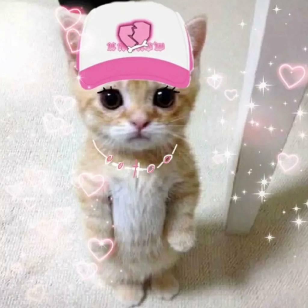 【亚比】节奏感特别强的电子音乐 | 在线播放 | 网易云音乐