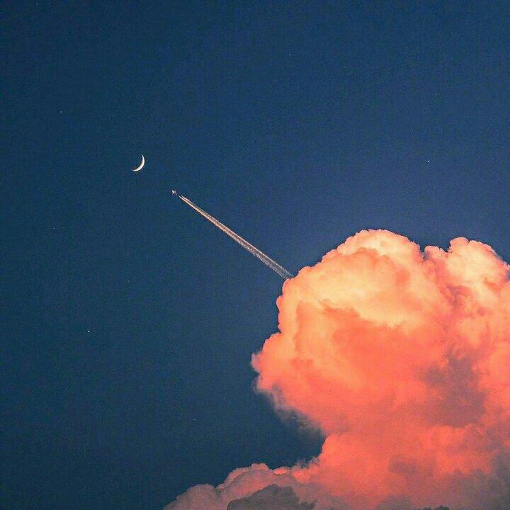 寻找评论中的◼◻