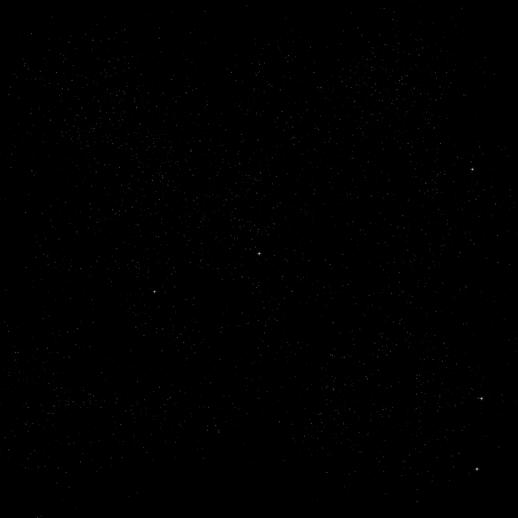 星黛露