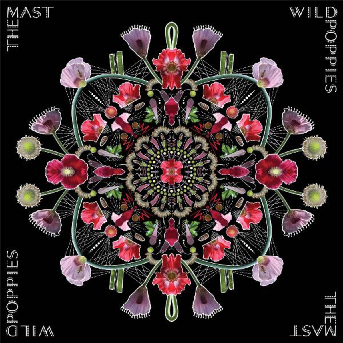 Wild Poppies