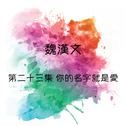 魏漢文 你的名字就是愛, 第二十三集专辑