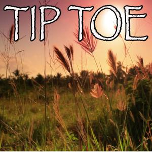 Tip Toe - Jason Derulo And French Montana (instrumental Version) （原版立体声无和声） （降7半音）
