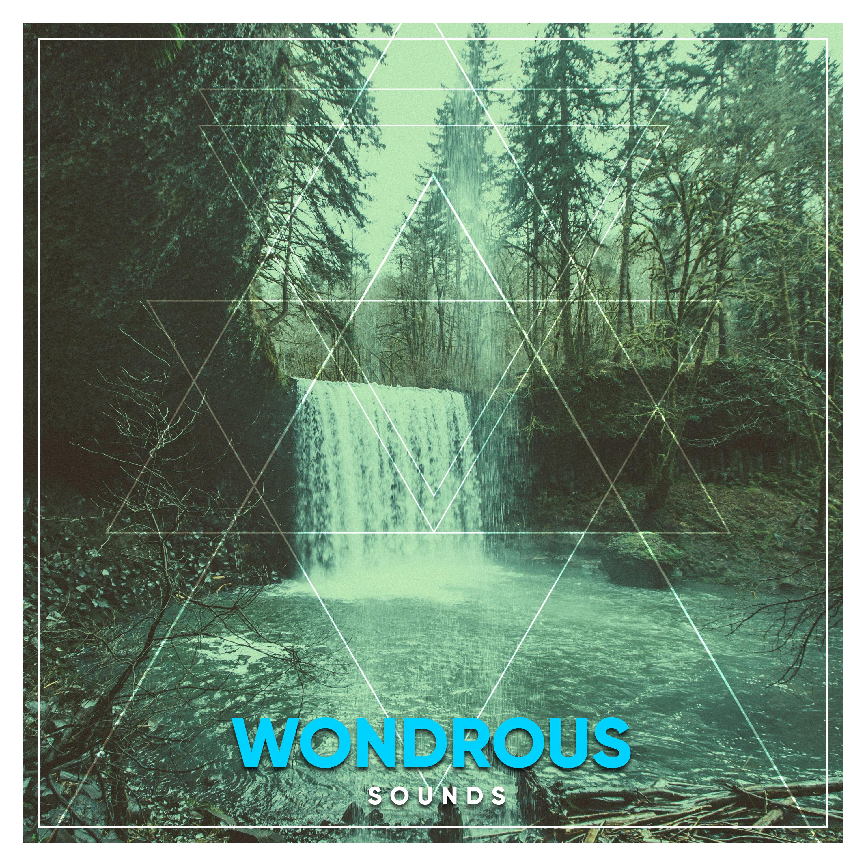 #20 Wondrous Sounds for Meditation and Yoga专辑