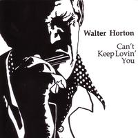 Walter's Boogie Big Walter Horton 伴奏