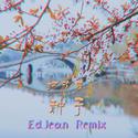 种子 (EdJean Remix)