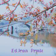 种子 (EdJean Remix)