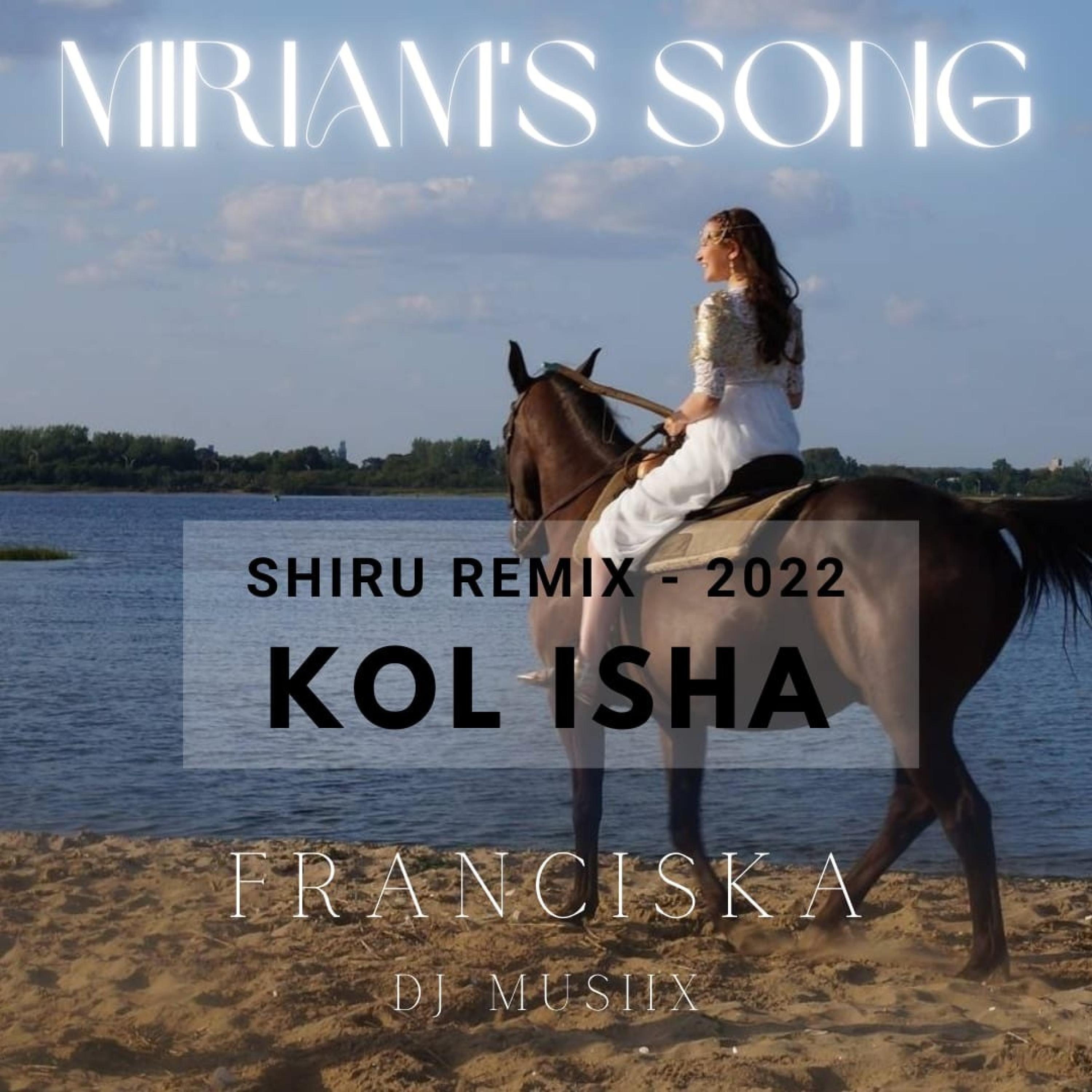 DJ MUSIIX - Shiru (feat. Franciska) (Remix)