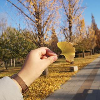 那一段被现实弄脏的爱情。