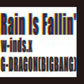 Rain Is Fallin'/HYBRID DREAM(通常盤)