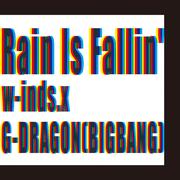 Rain Is Fallin'/HYBRID DREAM(通常盤)