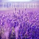 Purple Flowers专辑