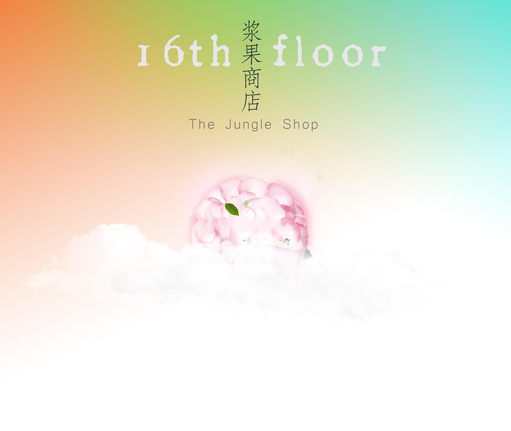 浆果商店 - 16 floor