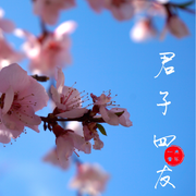 君子四友