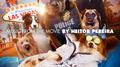 Show Dogs (Original Motion Picture Soundtrack)专辑