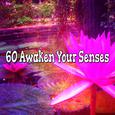 60 Awaken Your Senses