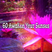 60 Awaken Your Senses