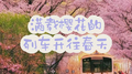 满 载 樱 花 的 列 车 开 往 春 天专辑